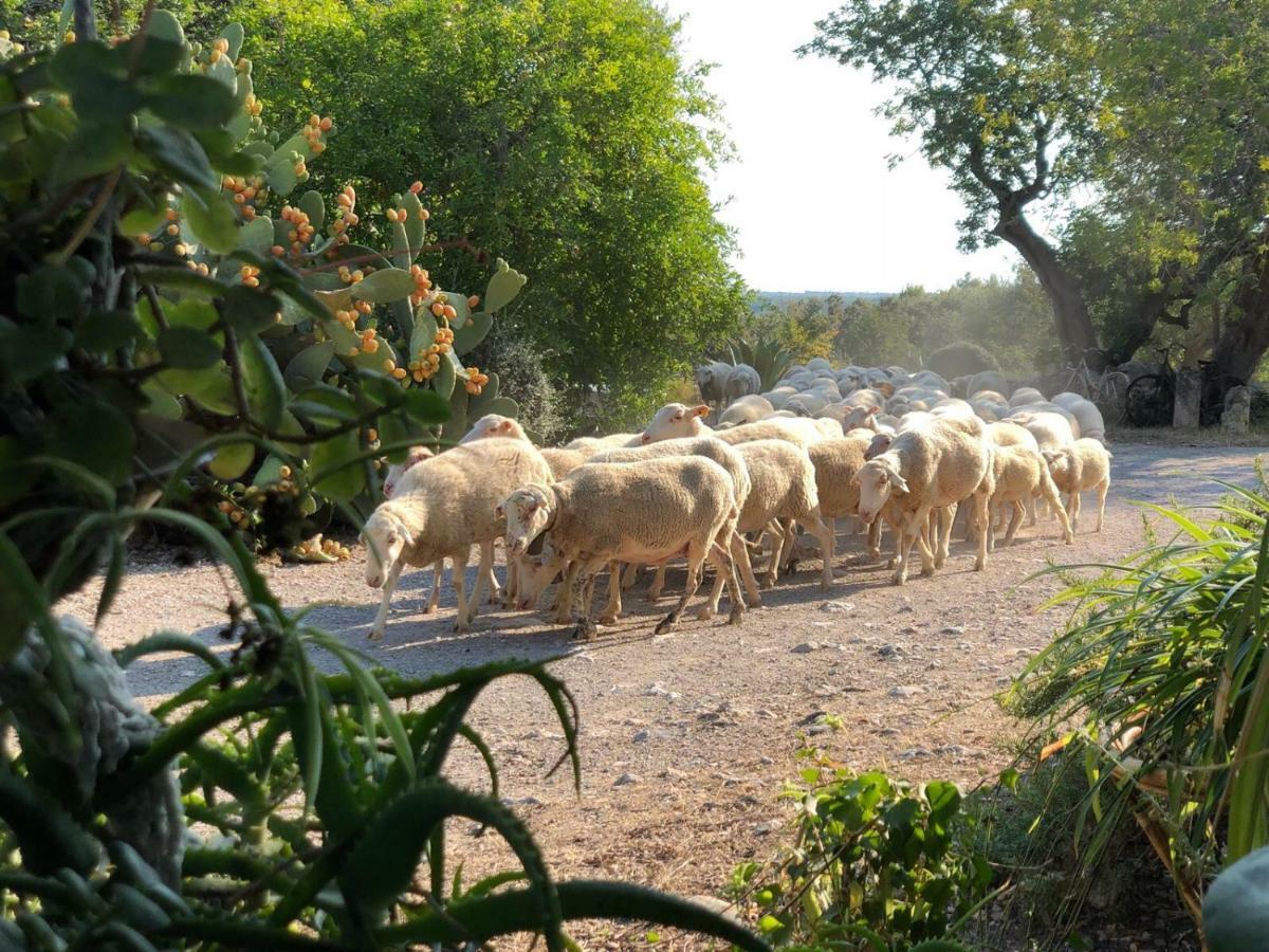 Вилла Agroturismo Can Guillo Польенса Экстерьер фото